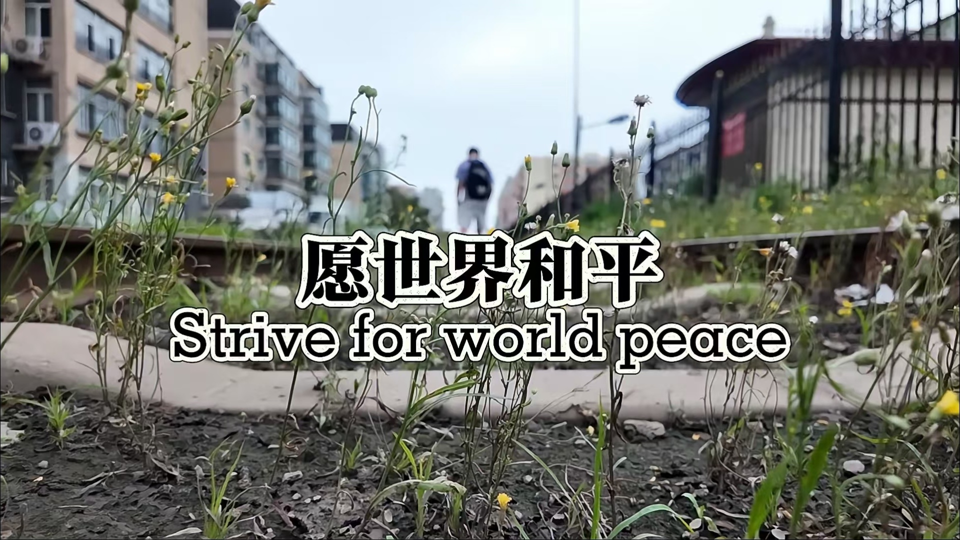 资讯有故事｜英国青年杰凯：“来到中国，是我做出的最正确决定”