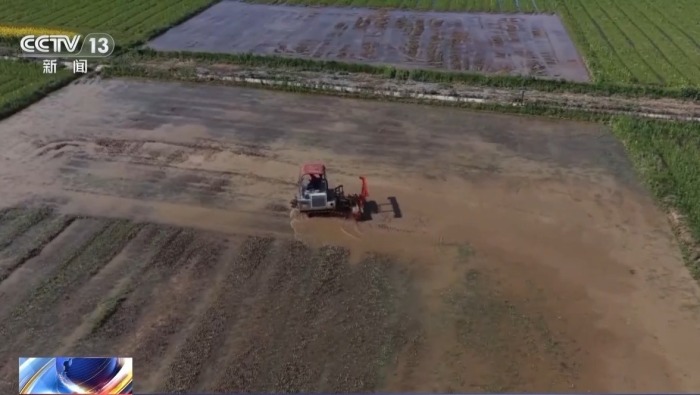 视频丨不负农时不负春 春耕生产按下“加速键”