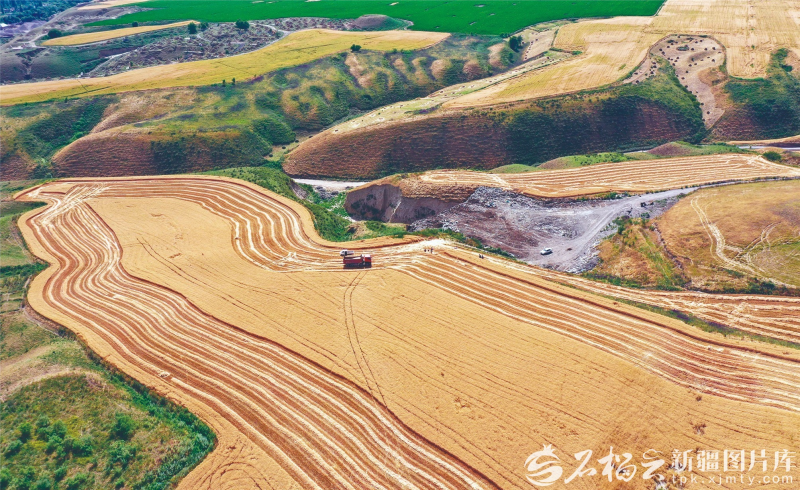 年终特稿·回望2025⑩丨乡村新变