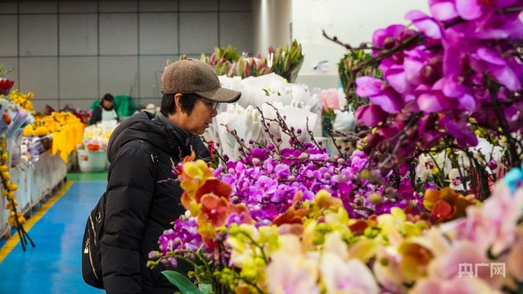 大市场看中国年 | 云南：斗南花卉购销两旺 满城皆是“年味”香