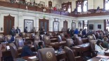 打响“选区重划战” 美两党再搞“杰利蝾螈”意图操控选举