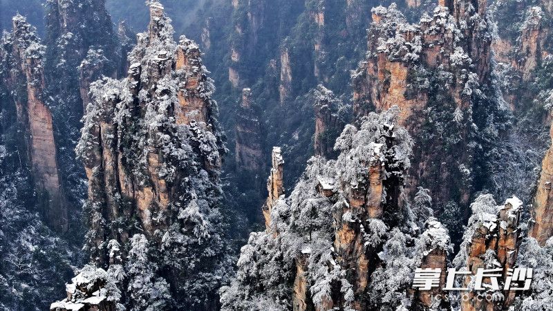 组图｜雪后初霁，张家界云海雾凇日出同框如仙境_fororder_d732e97bba400082af60feff3c3be6e9watermark167c9702a2cf27