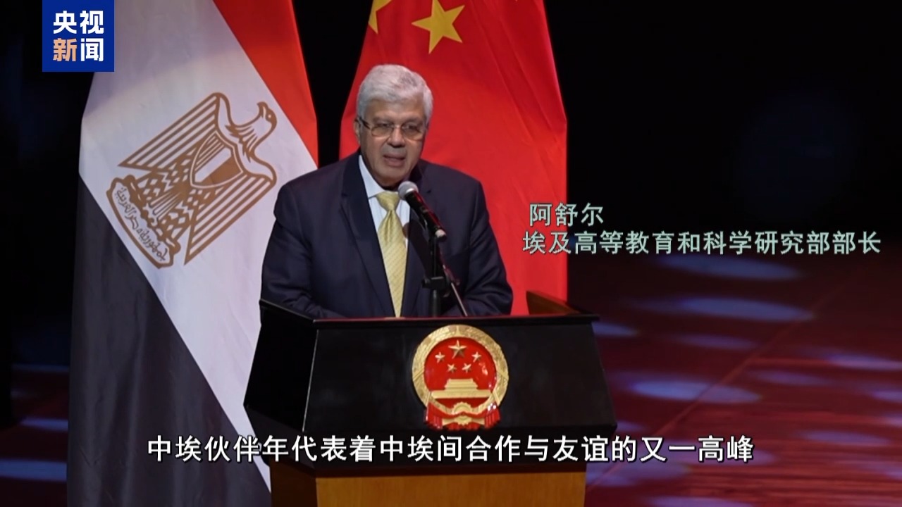 “中埃伙伴年”闭幕式演出暨2025“欢乐春节”专场演出在开罗举行