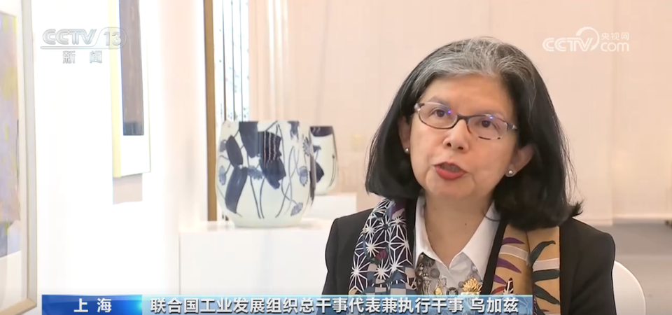 进博面对面 | 中国经验助力发展中国家工业发展