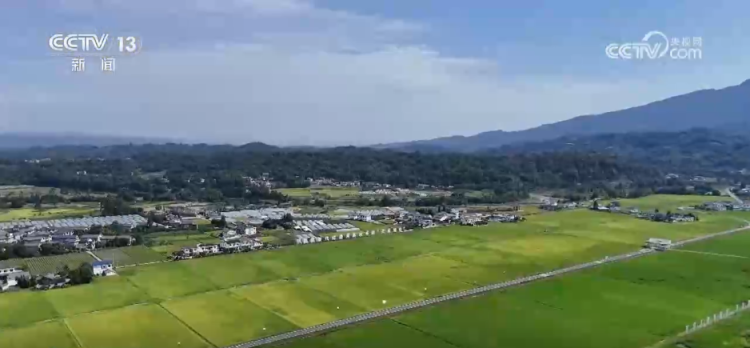 无人机作业、智慧田管“上岗”……“数智+”为秋粮稳产丰收筑牢科技根基