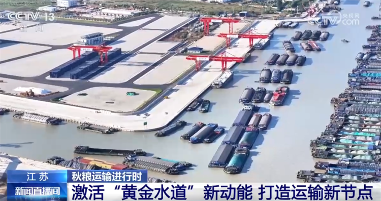 “铁海联运”“黄金水道”按下秋粮运输“加速键” 为全国粮食安全筑牢坚实屏障