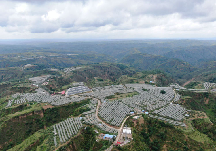 “兩山”理念改變中國引領(lǐng)時(shí)代