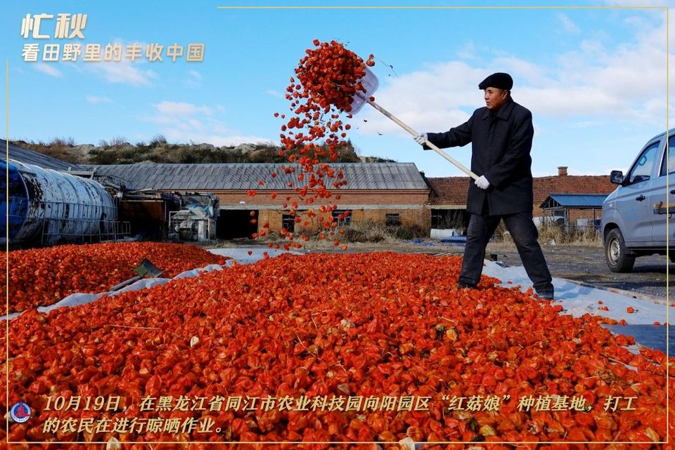 赏秋图鉴,解锁秋天的N种打开方式!