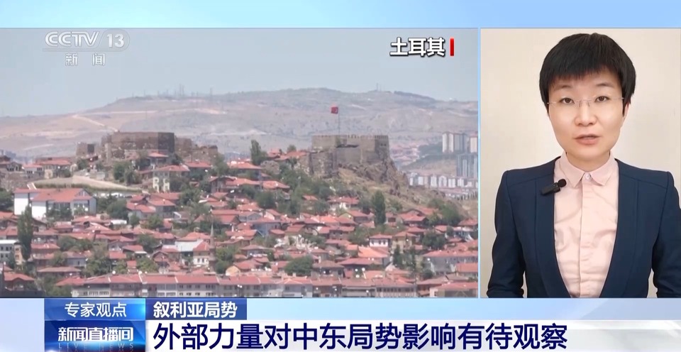 专家分析丨叙利亚战火再起 对中东局势影响几何？