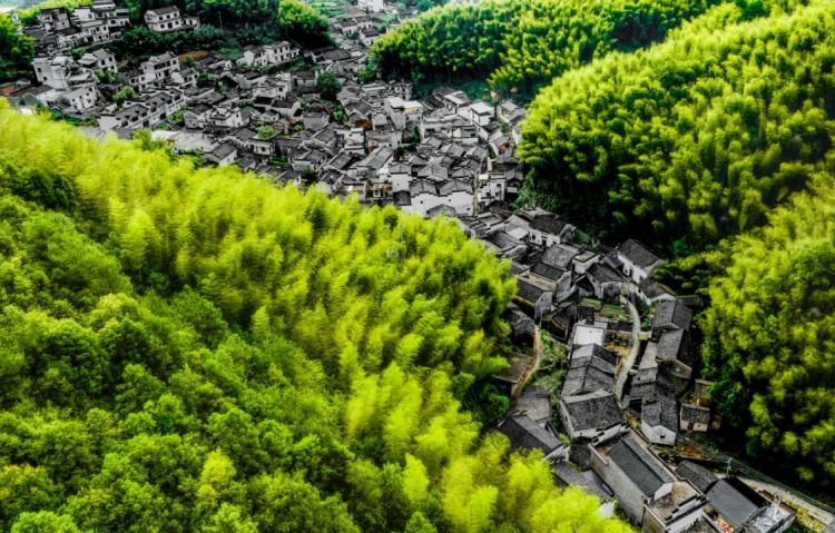 黄山市徽州区：返乡创业潮涌 新业态点亮乡村活力_fororder_返乡创业潮涌1