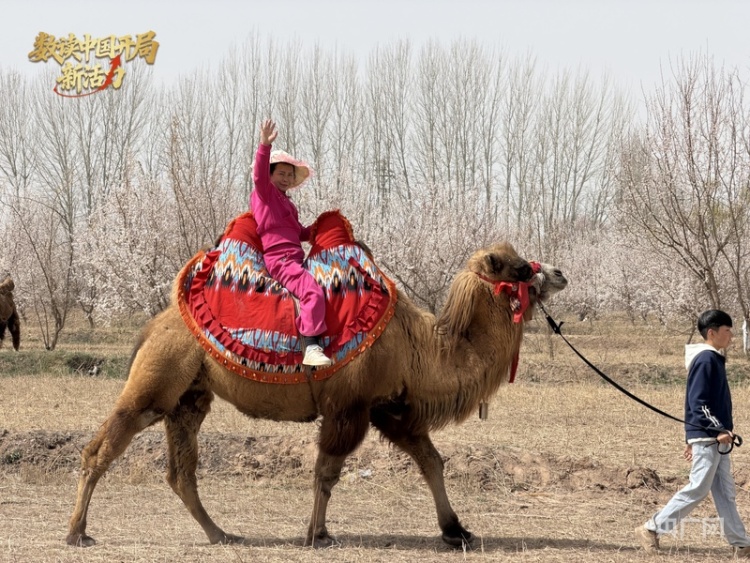 数读中国开局新活力丨272条研学线、28项活动，新疆2026春假文旅“大礼包”尽显多元魅力