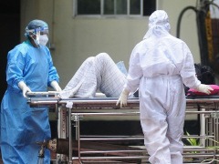 尼帕病毒或引发全球大流行？专家：不是新病毒，国内没病例，别慌！