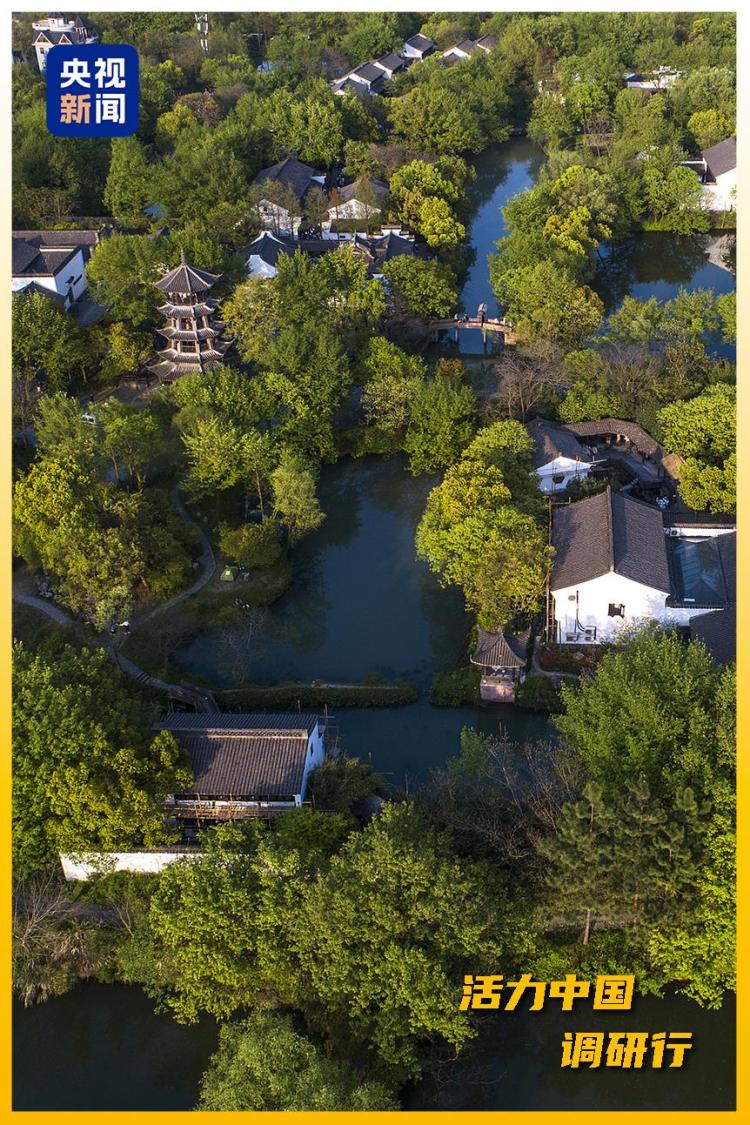 活力中国调研行丨从“浙”里，看中国