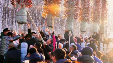 从嘎仙洞到洛阳：一条“融合之路”的千年回响与时代新生