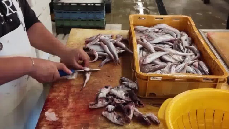 听鉴世界 | 燃油成本暴涨九成！ 克罗地亚渔民被迫停船歇业