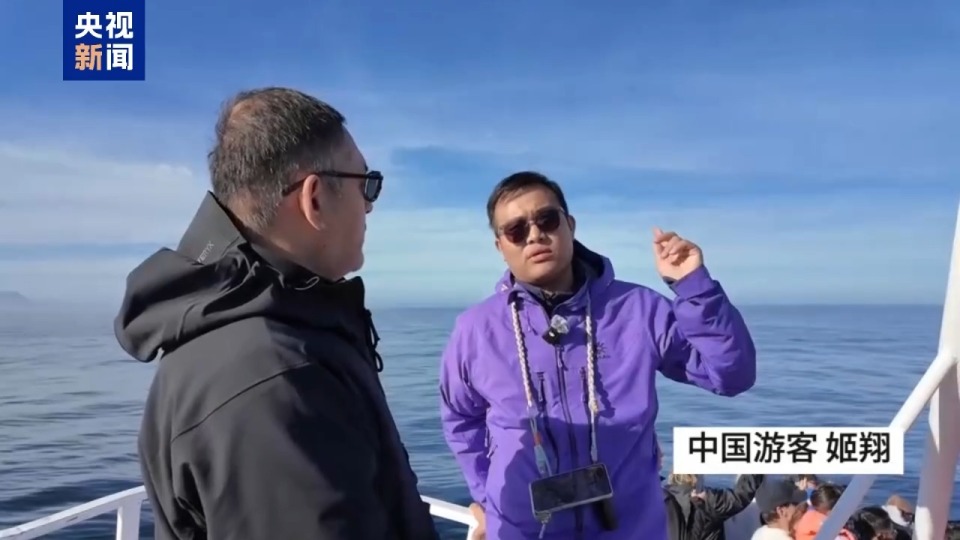 记者Vlog丨南非赫曼努斯“鲸鱼节” 生态与文化交织的海洋盛会