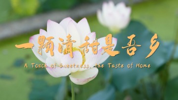 鲜味中国 四季农香 | 一颗清甜是吾乡