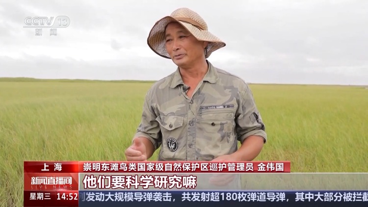 文化中国行丨捕鸟人→护鸟人 他用非遗鸟哨守护东滩