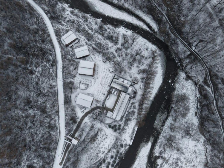 新春走基层丨秦岭深处护林人