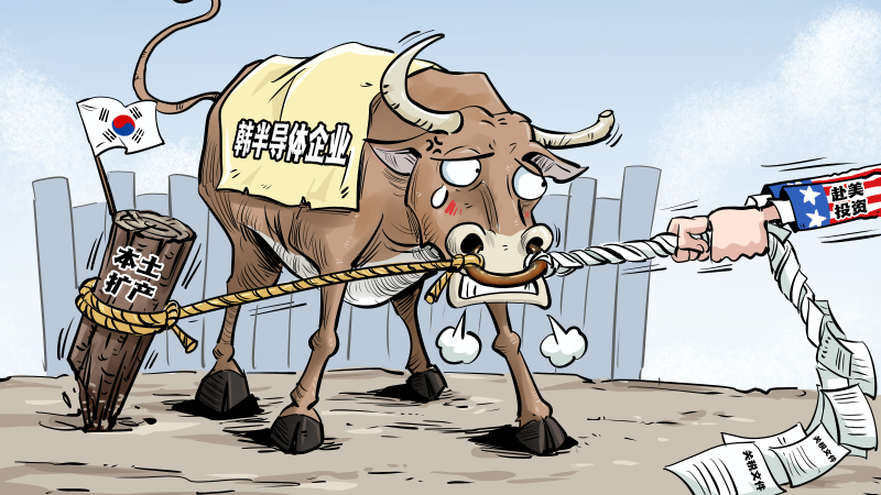 【国际漫评】“芯”不由己