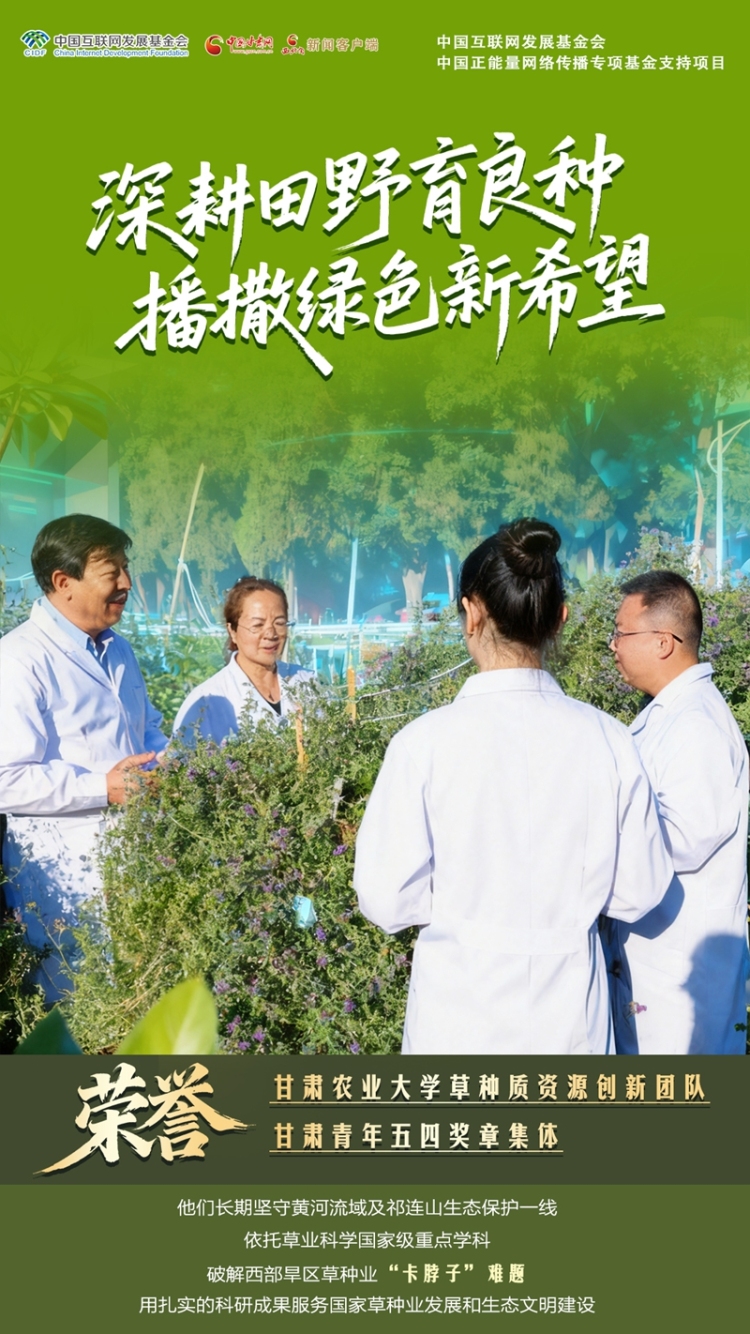 【青春华章·丝路逐光】海报|青春答卷 筑梦陇原