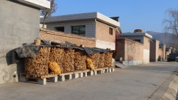 天水清水：铺就惠民“连心路” 注入振兴“暖温度”