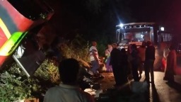 印度南部公交车坠崖 已造成9人死亡