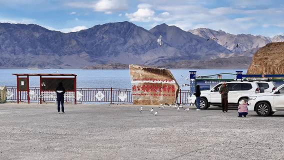 “高冷”经济看发展｜绿意攀高！海拔4000米之上的绿色革命