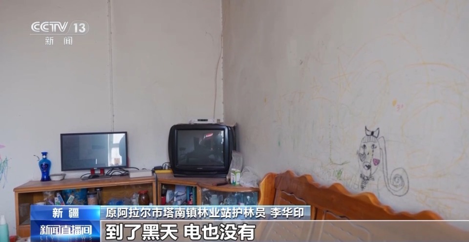 你在胡杨林下载歌载舞 他们在守护这些“沙漠英雄树”