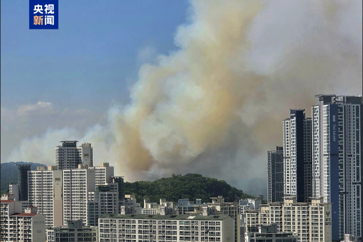 韩国大邱市山林火灾持续燃烧 上千人被疏散