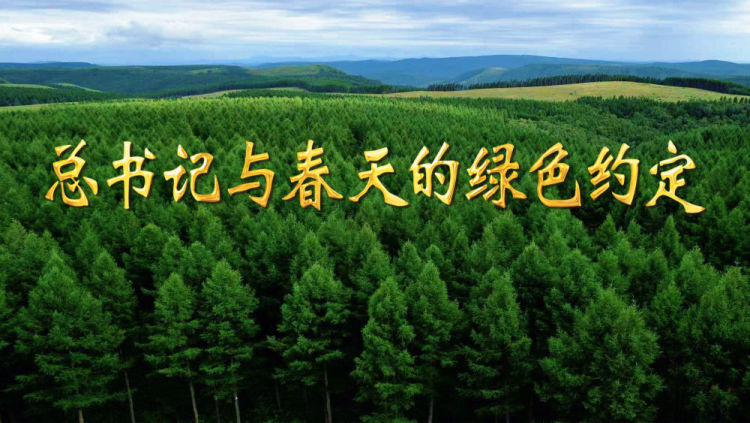 微视频｜总书记与春天的绿色约定