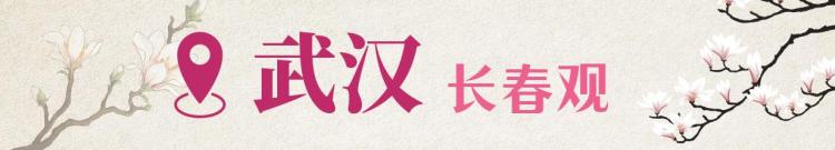 文化中国行·文博日历丨早春玉兰开 一起到全国古迹去追花（附打卡攻略）