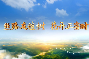 大道之行丨丝路友谊树 花开正当时