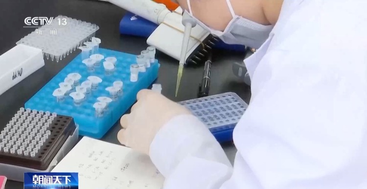 你听说过“伏羲农场”吗？这种小农场里可藏着大智慧