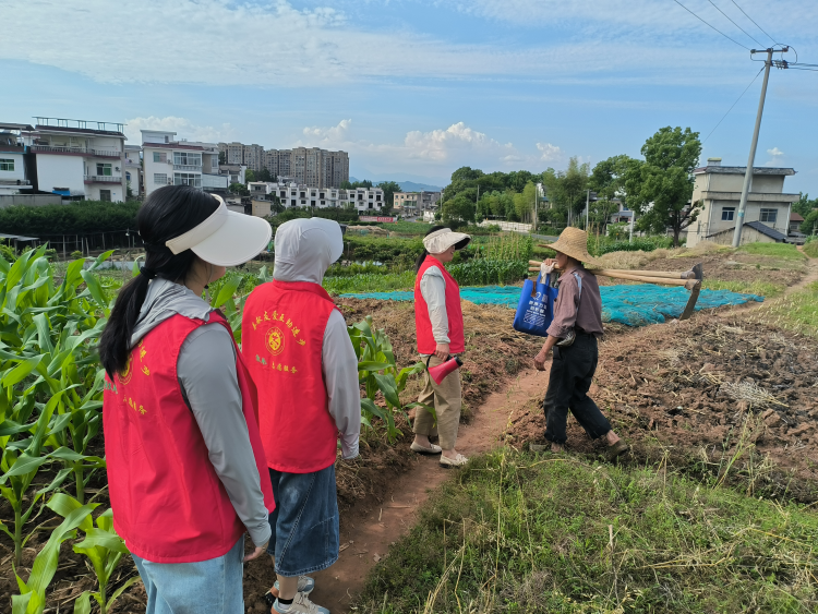 黄山市徽州区：“秸”尽全力筑牢秸秆禁烧“防火墙”_fororder_秸秆