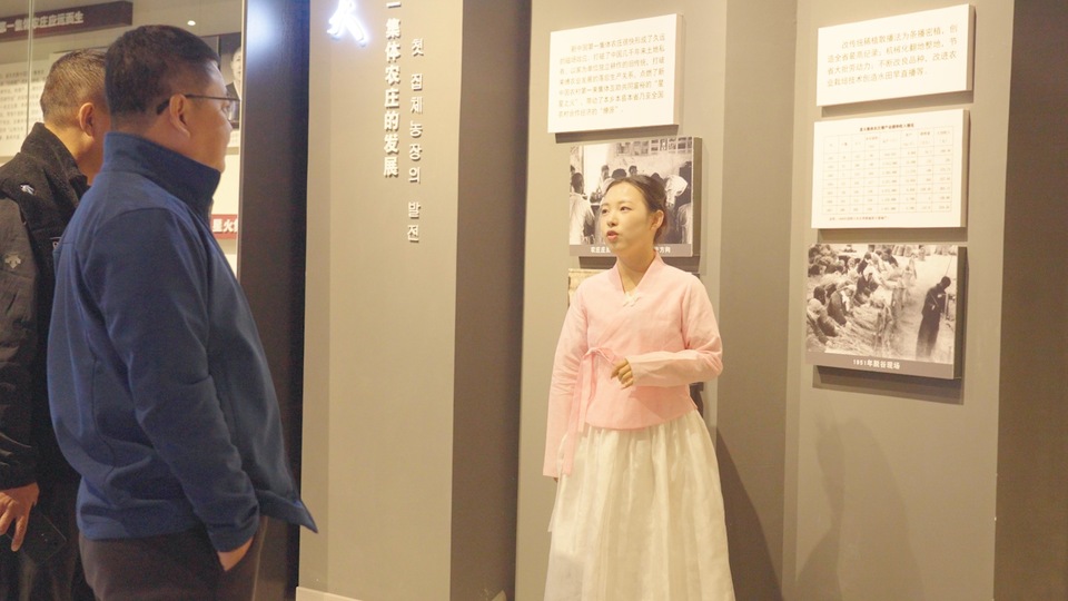 【你好，小镇】黑龙江星火：稻香聊源