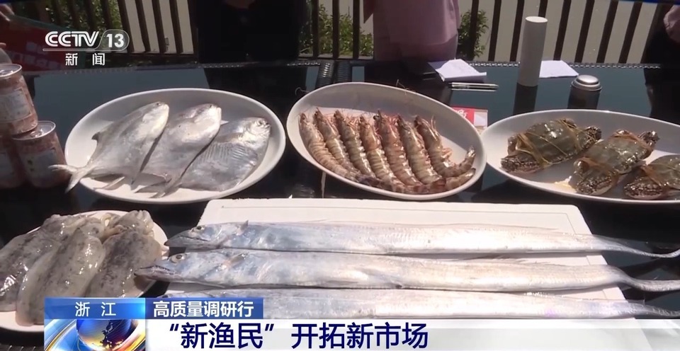 鱼市火热 渔民笑了！解锁“浙”里“蓝色粮仓”的共富密码
