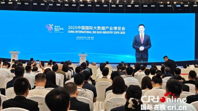 China International Big Data Industry Expo 2025 Kicks Off in Guiyang