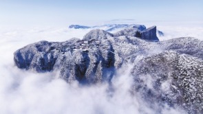 玉树琼枝 云海仙境