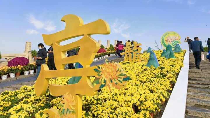 新华走笔丨一城菊香文韵新