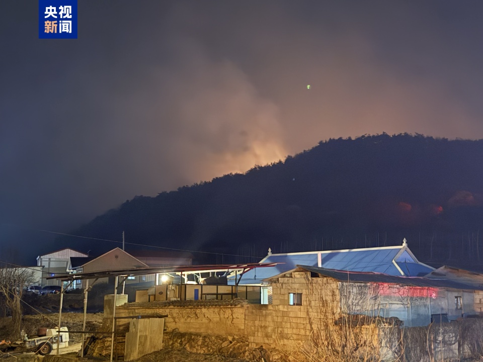 总台现场直击丨韩国山火仍在蔓延 夜间救援束手无策