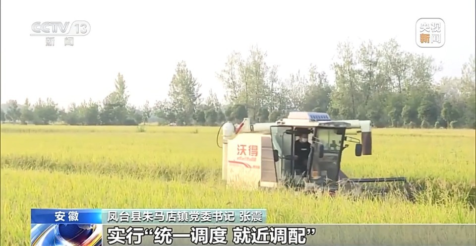 “收好粮”才能“卖好价” 机械助力粮食抢收新“丰”景