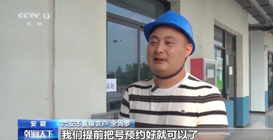 全国夏粮收购超1亿吨 小麦价格总体平稳