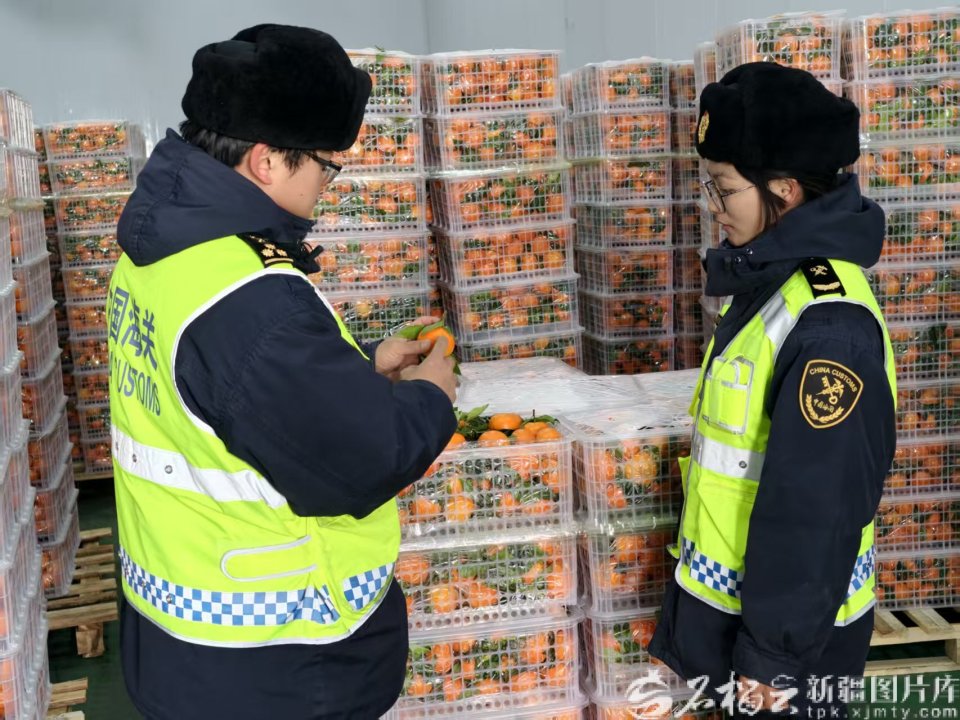 实干启新程｜客货两旺动能足，新疆各大口岸活力迸发