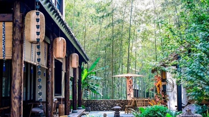 From 'Lucid Waters and Lush Mountains' to 'Invaluable Assets': Tonglu Charts a Path to Common Prosperity