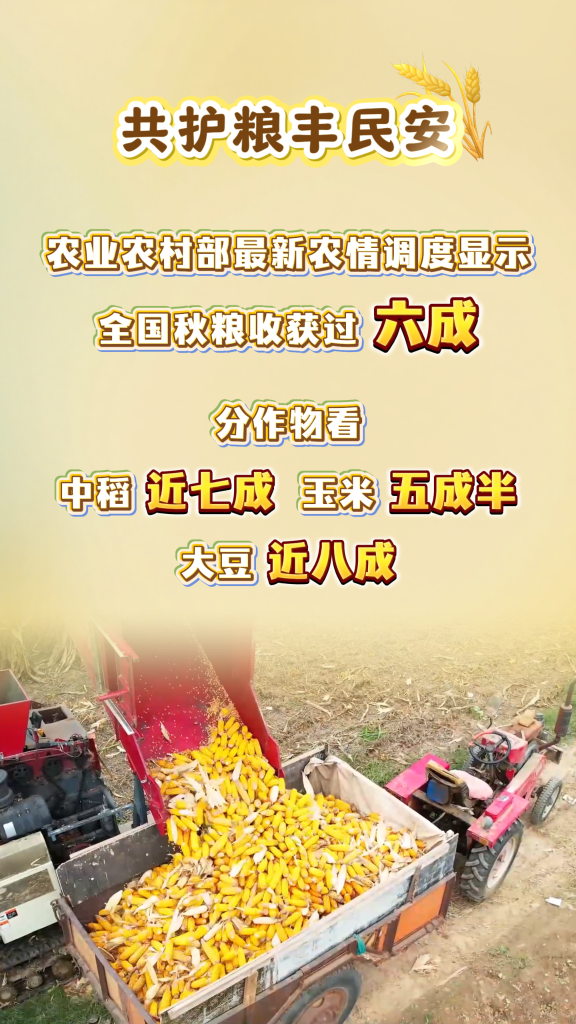 粒粒皆辛苦！这组数字，让你吃得更踏实