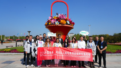 图片默认标题