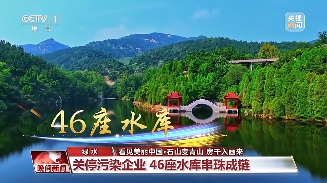 看见美丽中国丨炸水泥厂、种万棵树！“石头村”20年逆袭97%森林覆盖