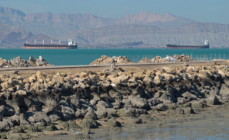 六国发表联合声明：准备采取措施保障霍尔木兹海峡安全