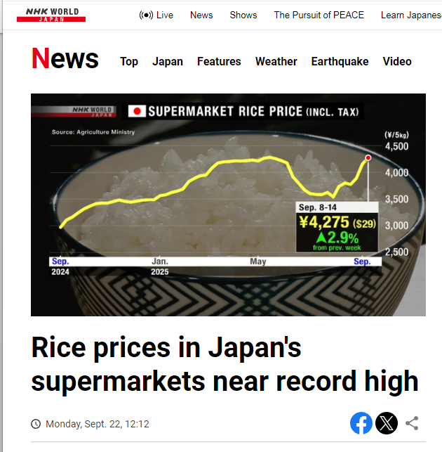 深观察 | 米价逼近历史最高水平  日本大米为何又陷涨价“死循环”？